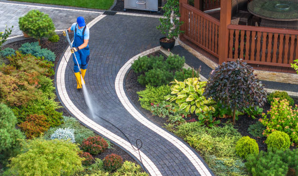 Best Roof Pressure Washing  in Woodland Park, NE